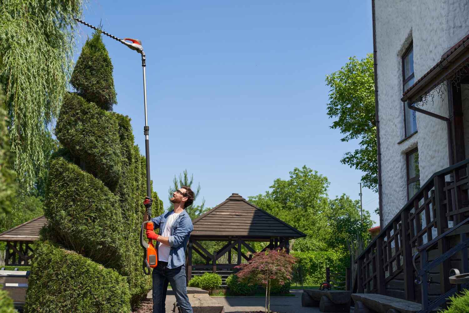 Best Tree Trimming Near Me  in Perham, MN